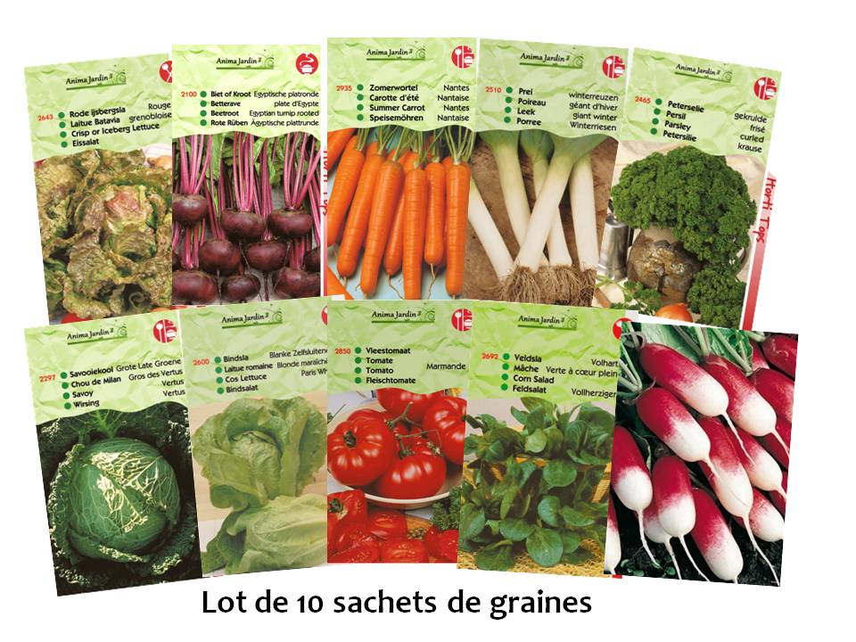 Lot 10 paquets graines légumes potager jardin ouvrier, salade, radis,  tomate, carotte, poireau, pas cher, économique