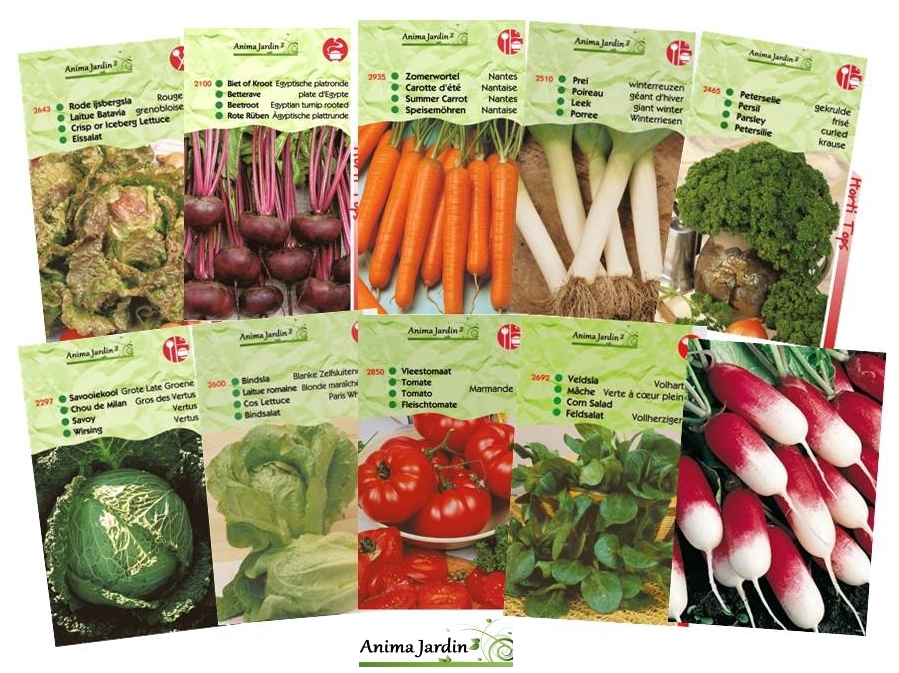 Lot 20 paquets graines légumes potager jardin ouvrier, radis, tomates,  courgettes, carotte, poireau, pas cher, économique
