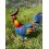 Coq en métal, hauteur 46 cm, animal, décoration du jardin