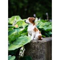 Chien Jack Russell, H.28 cm, animal en résine, décoration extérieure