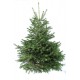 Sapin de noël Nordmann coupé 175/200cm, livré chez vous