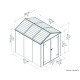 Abri de jardin Rubicon Gris , 4,2 m², Polycarbonate