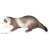 Furet, L.33 cm, animal en résine, décoration extérieure