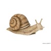 Escargot, L.30 cm, animal en résine, décoration extérieure