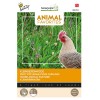 Graines pour petit pâturage pour animaux, Tortue, Poule