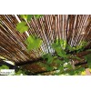 Canisse en Osier naturel, 85% occultant, Natural Willow Fence