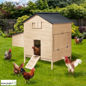 Poulailler chalet avec pondoir en bois XXL, 6-10 poules