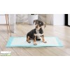 Lot de 100 tapis éducateurs pour chiens