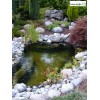 Bassin de jardin Calmus SIII, 350 litres, bassin rigide de 1,47 m², PE noir