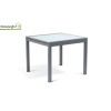 Table de jardin extensible en Verre trempé gris, 8 personnes