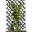Treillis décoratif extensible en pin coloré gris anthracite, Oxana