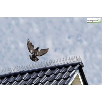 Lot de 3 bandes pics anti-oiseaux, 100 cm