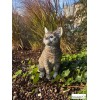 Chat Gris assis 30cm en résine, déco de jardin, Riviera, achat, animal