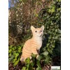 Chat roux assis 30cm en résine, déco de jardin, Riviera, achat, animal de compagnie