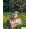 Grenouille, 19,2 cm, figurine, animal en polyrésine, décoration du jardin, achat, vente, pas cher