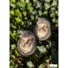 Lot de 2 bébés hérissons en boule, animal en résine, décoration de jardin, Riviera, achat, vente, pas cher