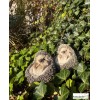 Lot de 2 bébés hérissons en boule, animal en résine, décoration de jardin, Riviera, achat, vente, pas cher