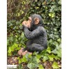 Singe en résine 31 cm, ne rien dire, déco de jardin, Riviera, achat, animal