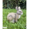 Lapin, 22 cm, animal en poly-résine, décoration du jardin, achat, vente, pas cher