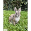 Lapin, 22 cm, animal en poly-résine, décoration du jardin, achat, vente, pas cher