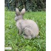 Lapin, 22 cm, animal en poly-résine, décoration du jardin, achat, vente, pas cher