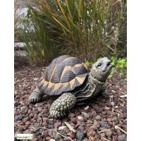 Tortue verte, 28 cm en résine, déco de jardin, Riviera, achat, réptile, animal