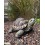 Tortue verte, 28 cm en résine, déco de jardin, Riviera, achat, réptile, animal