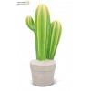 Cactus duo en céramique, H.26 cm, décoration extérieure