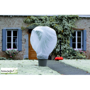 Voile hivernage pour plante Wintertex, 2x10 m