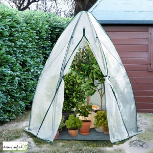 Serre d'hivernage Teepee Small en PE 130gr/m²