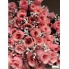 Piquet de 24 roses artificielles, H.55 cm