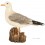 Mouette, 36 cm en résine, déco de jardin, Riviera, achat, oiseau, animal