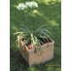 Bac carré ESSENCIA de 40 cm en bois autoclave, Essencia, bac à fleurs, plantes, pas cher, achat