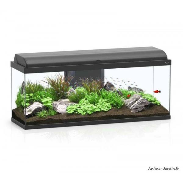 Aquarium, kit Aquadream 100, capacité inclus éclairage et filtre, Aquatlantis, pas