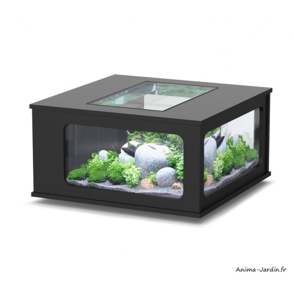 Aquarium, Aquatable, 100x100 cm, capacité 307L, inclus éclairage filtre, Aquatlantis, achat, pas cher