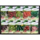 Lot de 10 sachets de graines Bio, potager, jardin ouvrier, Sanrival, économique, pas cher, achat