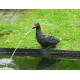 Cygne, cracheur d'eau, décoration bassin, Ubbink, achat, pas cher