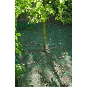 Filet de ramassage arbre fruitier - 4,3 x 4,3 m