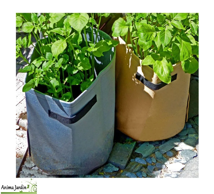 Sac de plantation pour culture de pommes de terre 37L, PotatoBag