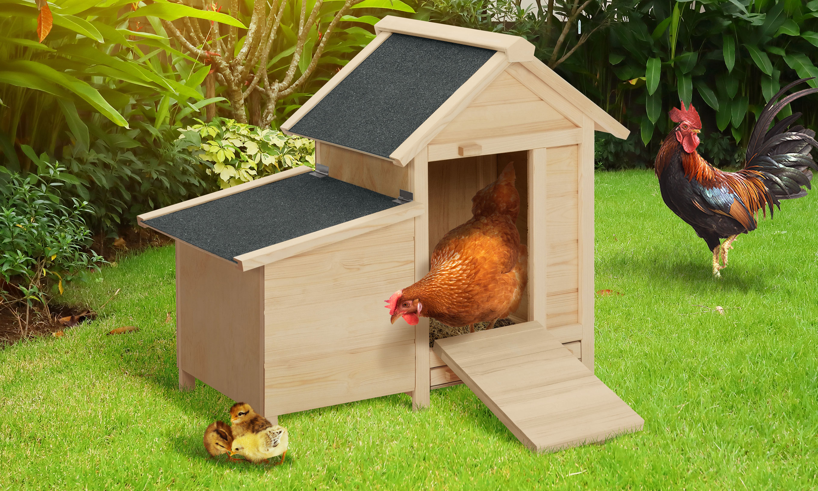 Poulailler Casita avec pondoir en bois, 2 poules