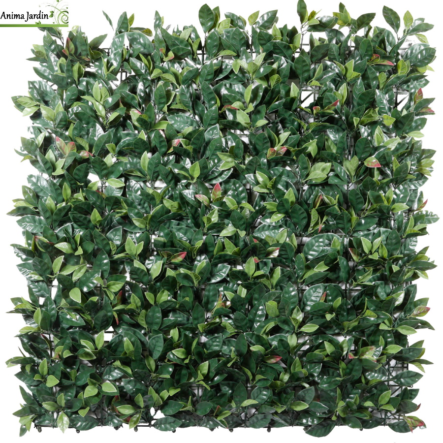 Mur végétal, artificiel Photinia, 1x1 m, ideal-garden-netlon-achat-pas-cher-anima-jardin.fr