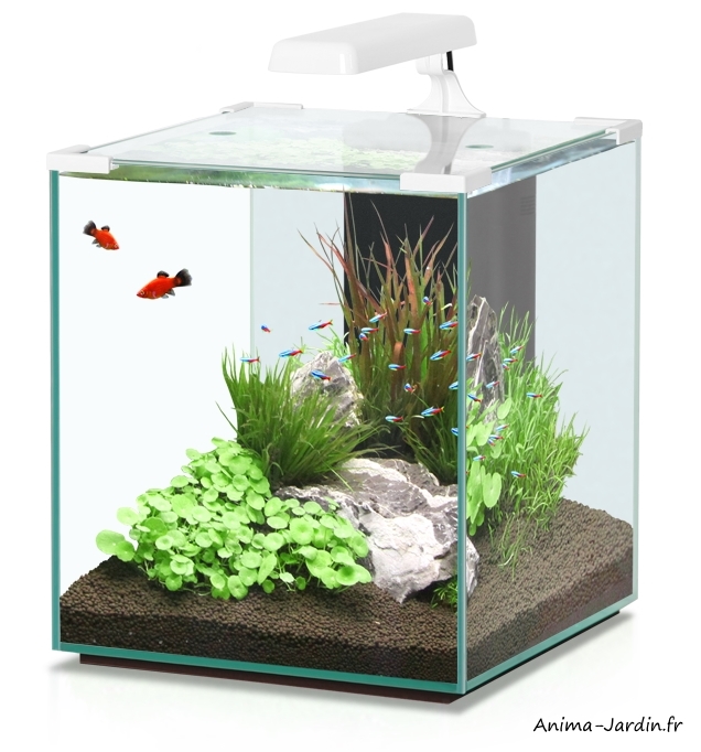 Aquarium, Nano Cubic inclus éclairage et Aquatlantis, pas cher