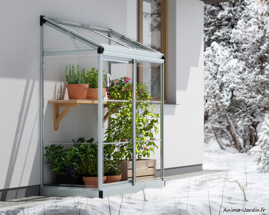Serre de Jardin en Aluminium et Polycarbonate Essence 9 m² - Canopia