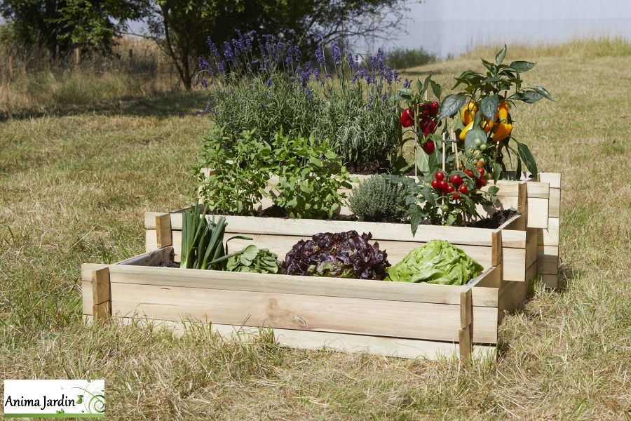 Carré potager 3 cases Lipsi naturel, OLG, Anima-Jardin.fr