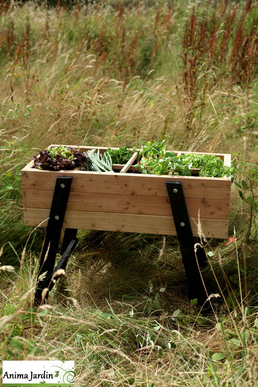 Carré potager en bois sur pied Ventoux, 8 cases, Carré de jardin, OLG, Anima-Jardin.fr