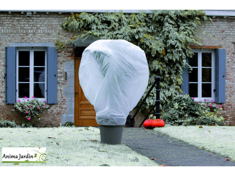 Voile hivernage pour plante Wintertex, 2x10 m