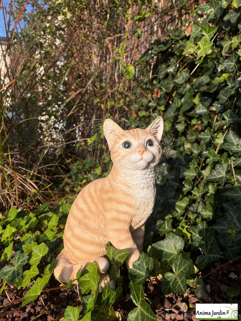 Chat roux assis 30cm en résine, déco de jardin, Riviera, achat, animal, anima jardin