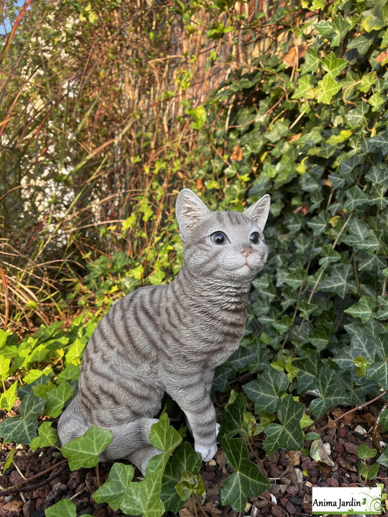 chat gris 30cm en résine, deco de jardin, riviera, pas cher, anima jardin